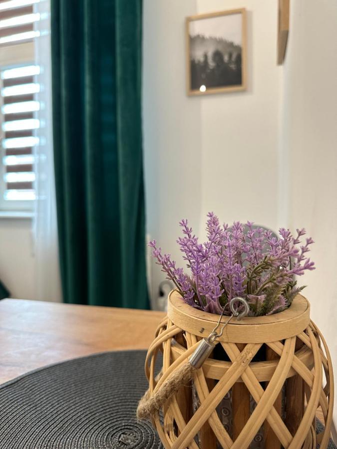 Apartament Zielony Kollataja Tomaszów Mazowiecki Exteriör bild